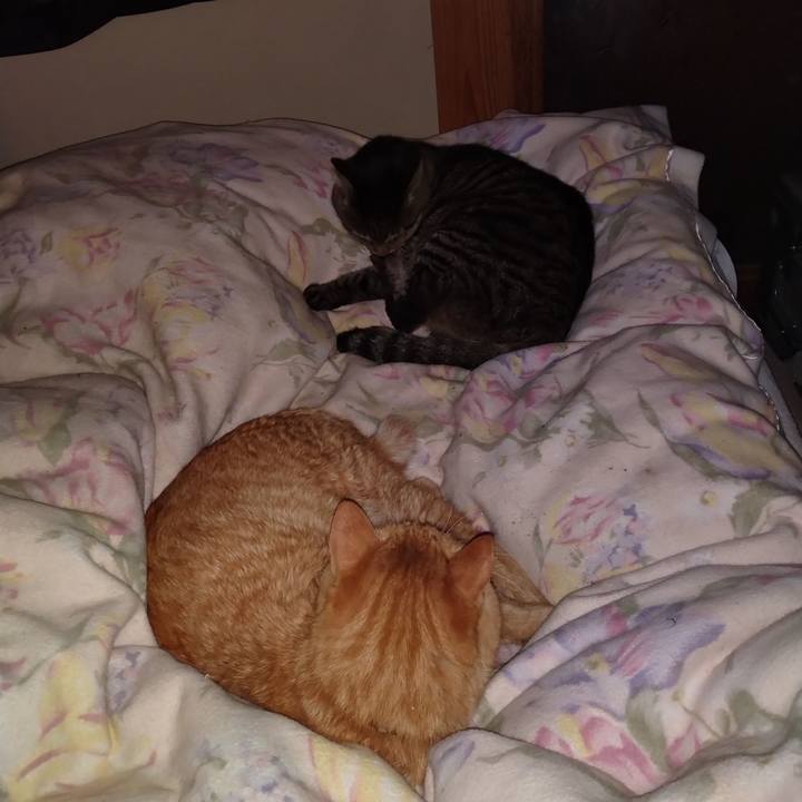 81a93d52 7960 4ad8 9a09 3509886c40dd 1696953650258