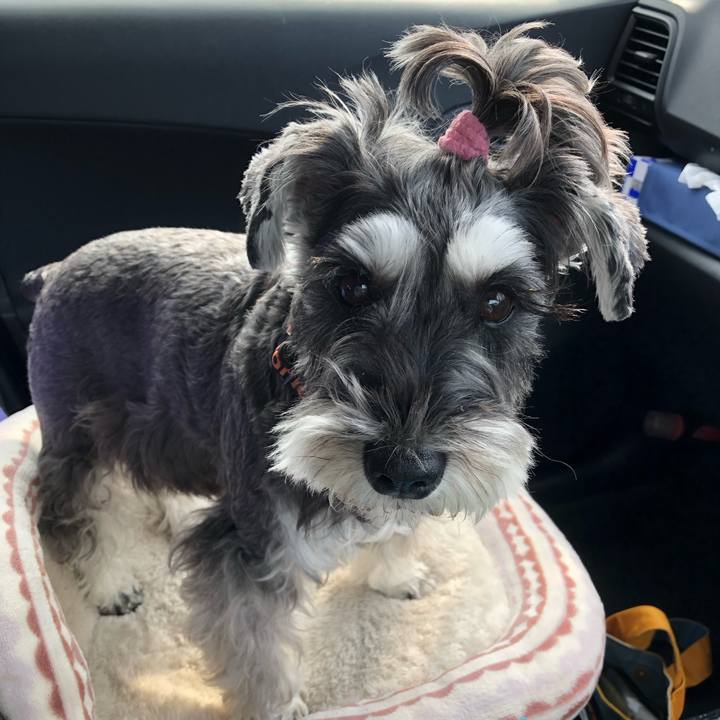 81a94cb2 4846 4378 bffa dec3d9c2453a 1698891616756