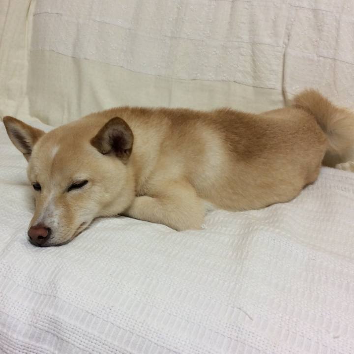 81a97fb0 291b 4544 bf5b 537ddf6428b1 1508586701702