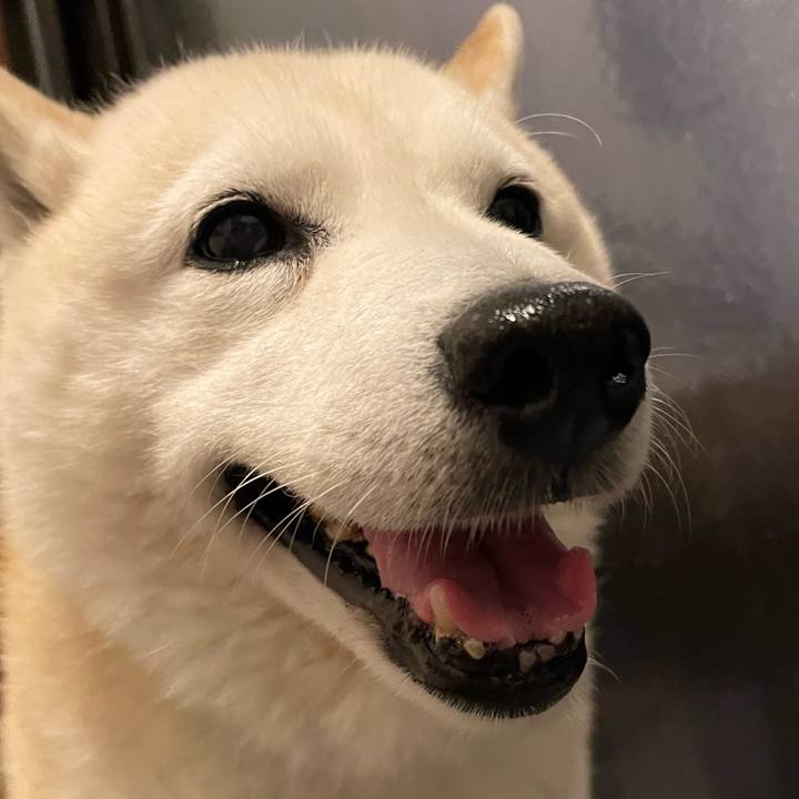 81a98792 b2c9 4b58 8f12 a71ebd210956 1652279347029