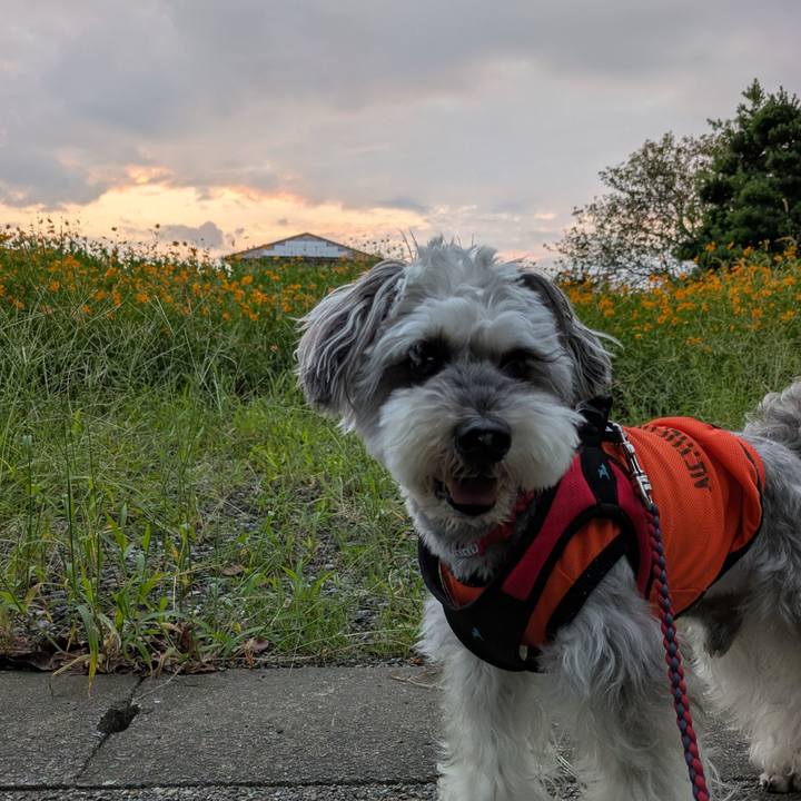 81a987a7 51eb 4945 9454 ecc3ca248573 1758636620937