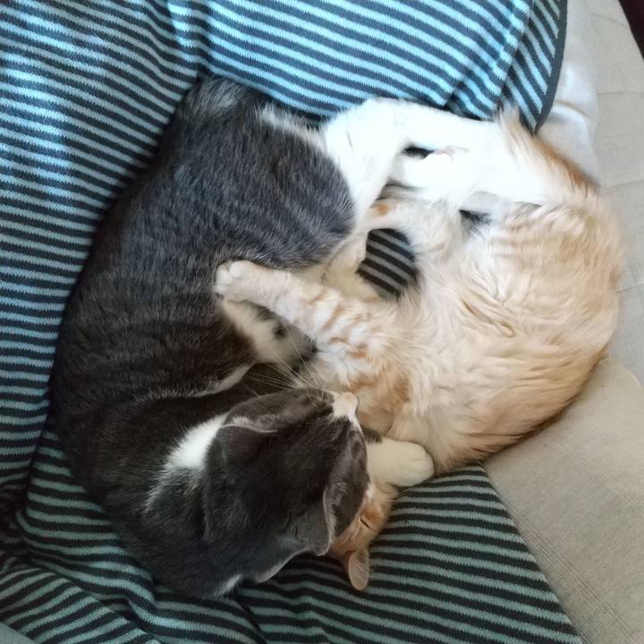 81a9af4e 468e 4146 8f7e 5778246a420a 1613175214331