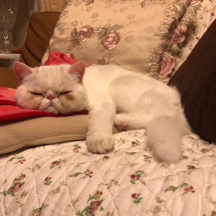 81a9b59d de57 4bdc b5c7 a3efa544776e 1558270099928