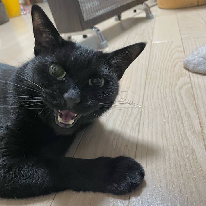 81a9bac3 48fb 44a0 bda9 117cb80639f2 1706616869228