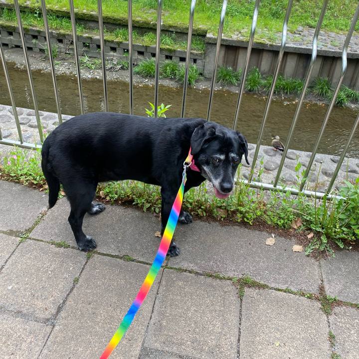 81a9f205 7ed3 4cda 87f8 29796b978dd3 1681800351108