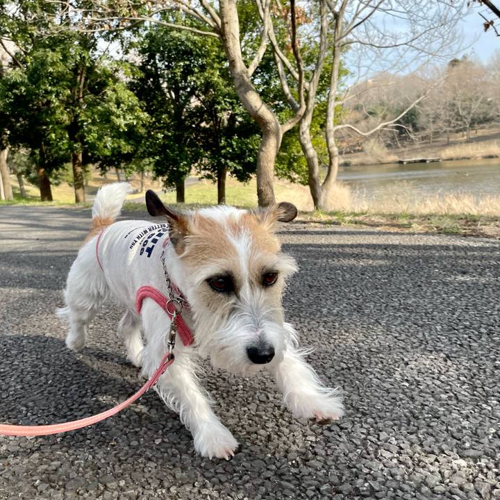 81a9f2a1 1cbf 4476 851c 5a584d9c83d7 1647241404753