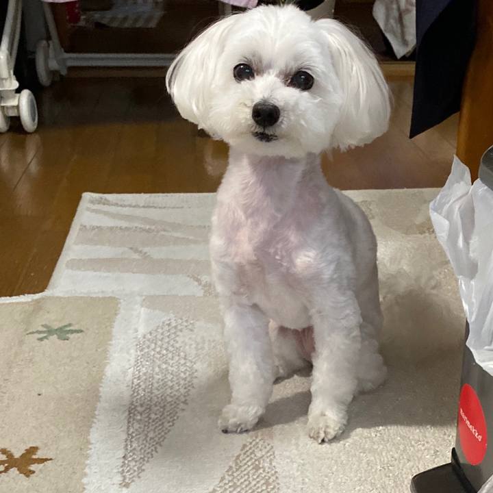 81aa0625 e4fe 4d1c 9444 83bec1ec7ff9 1590466668640