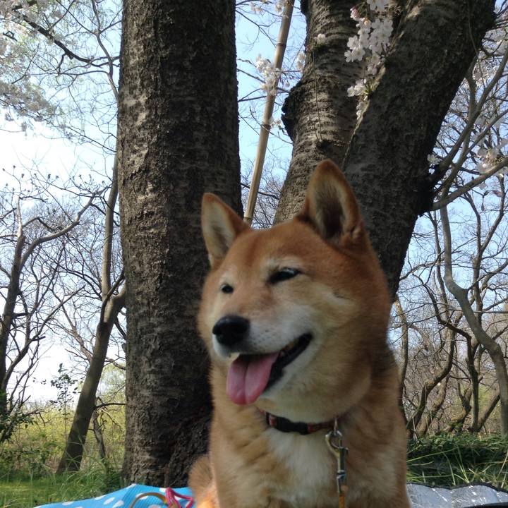 81aa10ce f7d9 4582 9a2d 52622dd56cfd 1522219789691