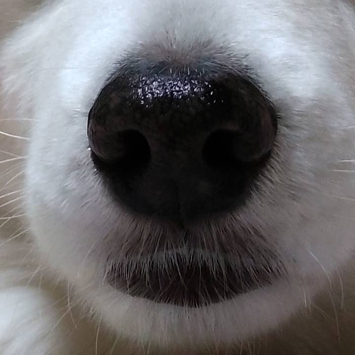 81aa2f88 9565 4787 b48f 95877bc18e91 1641648355414