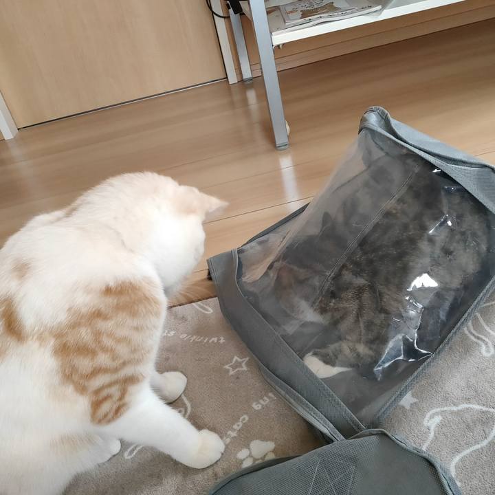 81aa5556 b61e 4ecf 8de3 d290999c4e93 1674433273500