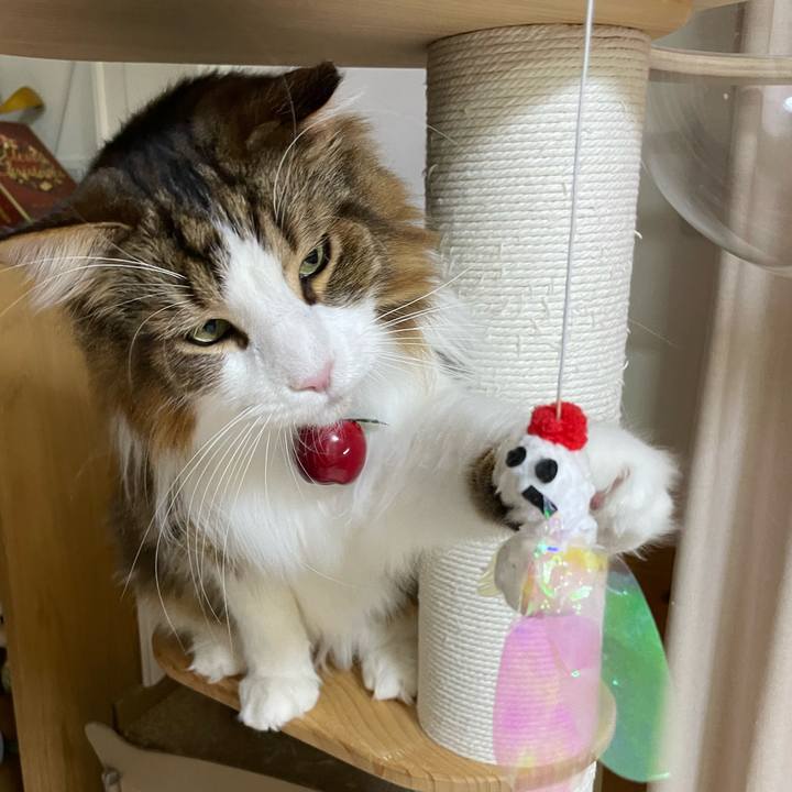 81aa5e43 e76d 425d 989f 54c8adb7fe25 1734897739744