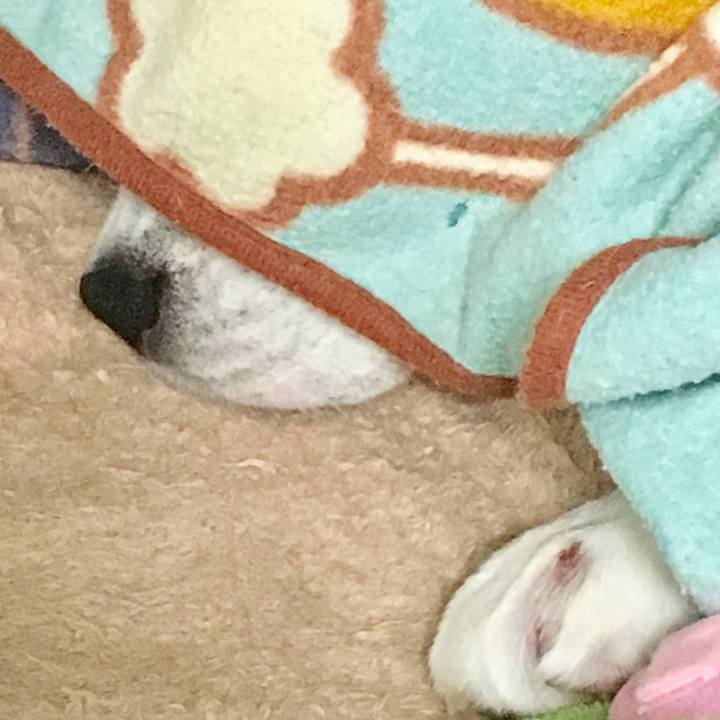 81aa7b85 b143 4aa6 9f74 d715df9075fa 1731458993687