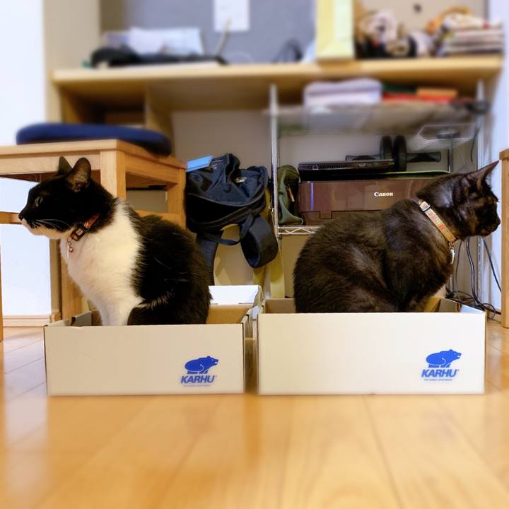 81aa8930 709c 484d 993e 2fa2471f3d7d 1560732542377