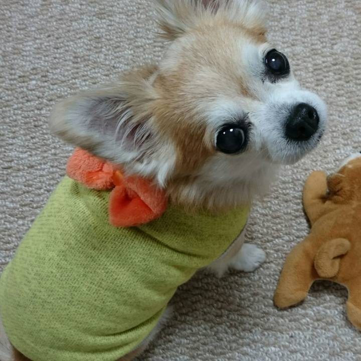 81aae6f3 8549 4f7e bc2a cac77b0a15e3 1508336202557