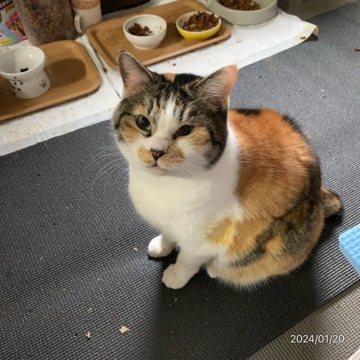 81ab15fa 18d8 4697 9038 957d1302e694 1705712964801