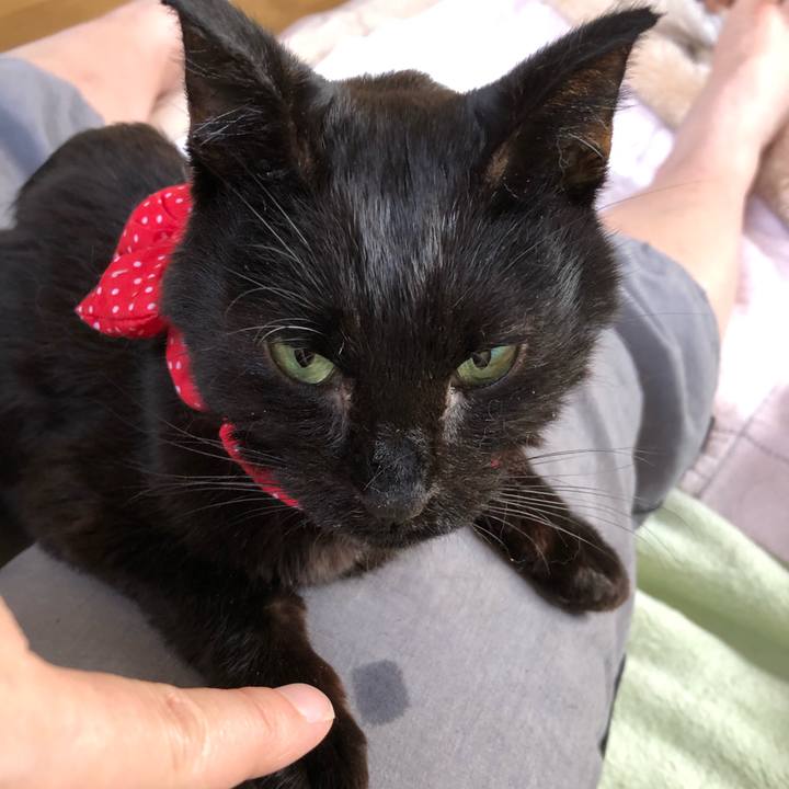 81ab4824 4e6c 4244 b0f9 9eb83a2e94d7 1558168752687