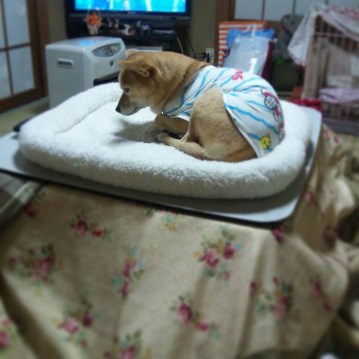 81ab4e07 f0f0 49ed abd9 ce971540e5ba 1548804832819