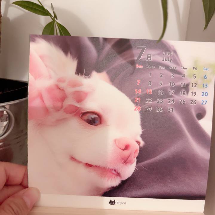 81ab74e8 e971 43ac bf0b 41939fa3b726 1719998706864