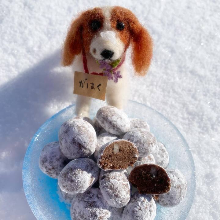 81ab7b61 ee4d 42cb 9442 18cb32549709 1705457853679