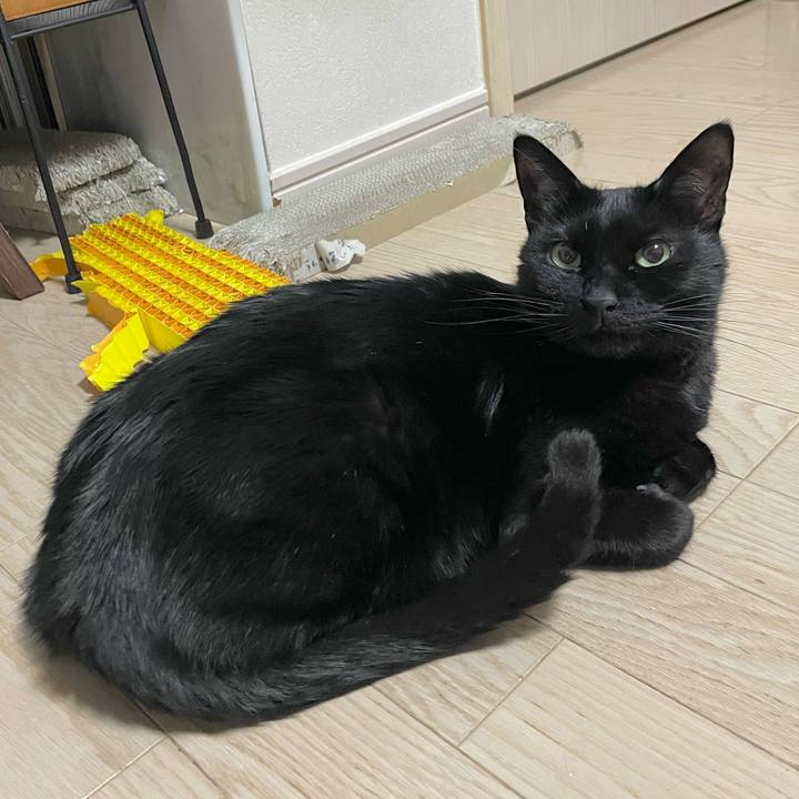 81ab807d 4626 4c67 9741 78a7def03323 1677232591038