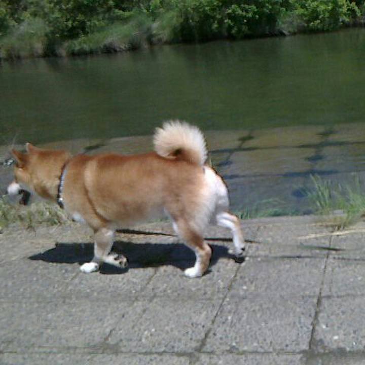 81abfead c875 47e1 8505 65adfb027cdc 1527857832336