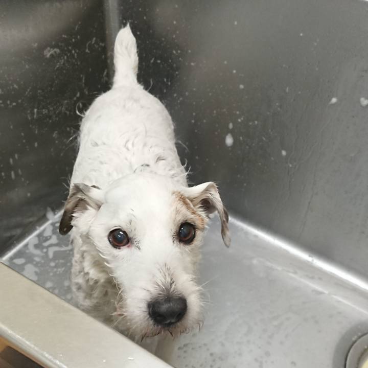 81ac4f57 32dc 4f4a 8fc9 8b505c28bfe9 1577025940958