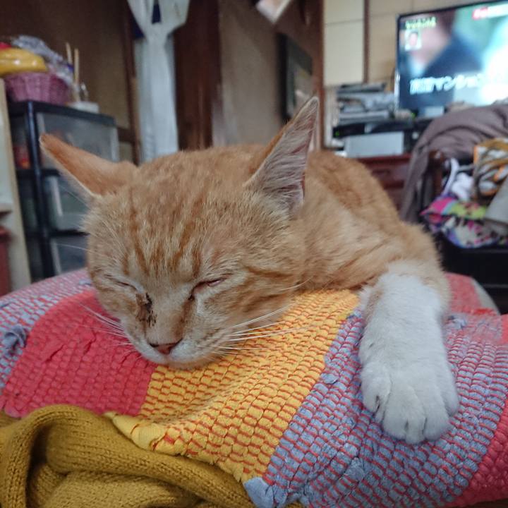 81ac529c dbec 46f2 a01c 11049cea99ce 1558841826668