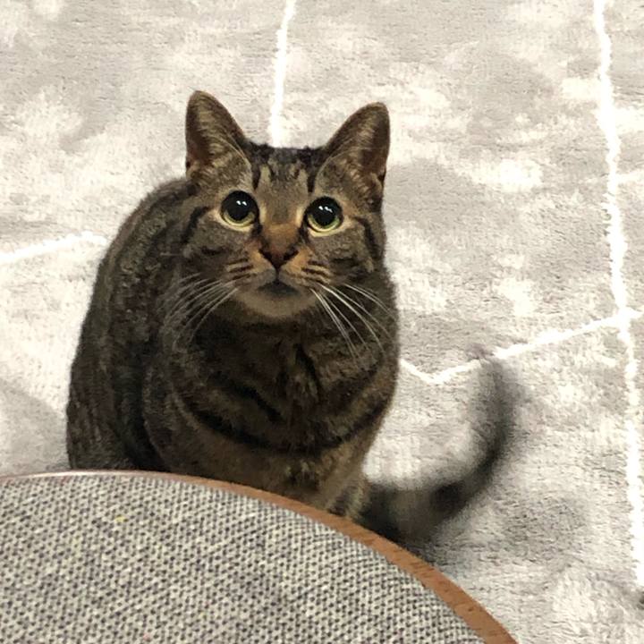 81ac9d9c 0ad1 4317 99cc eccbe097b198 1554795067855