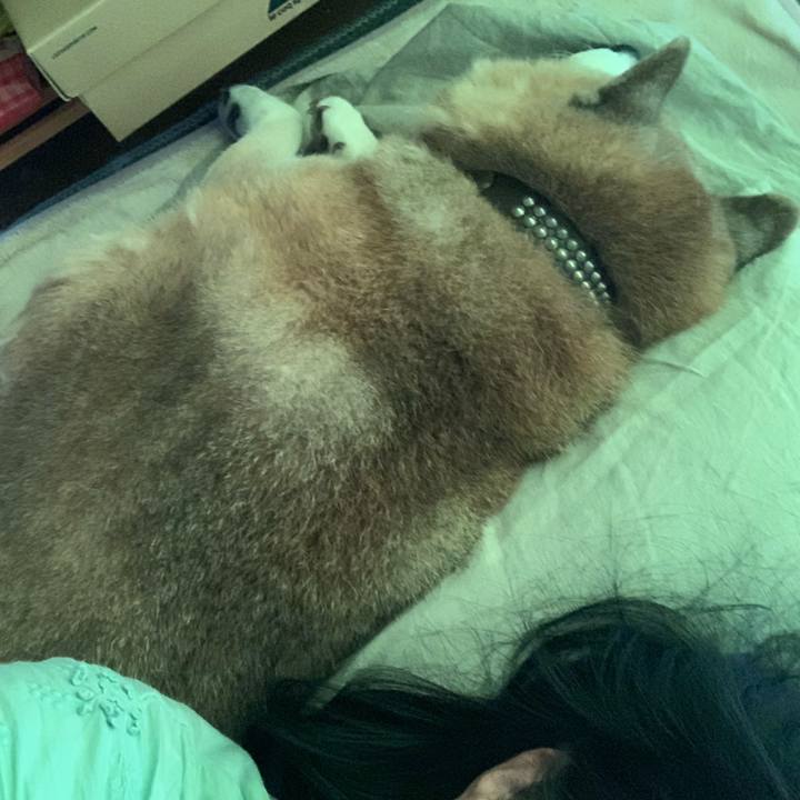 81acca16 d82f 4eb5 a803 26bffb985d61 1598740534745