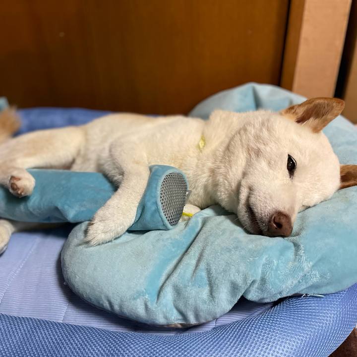 81acf22b 57cc 4847 9210 a28d8a74d938 1652356599000