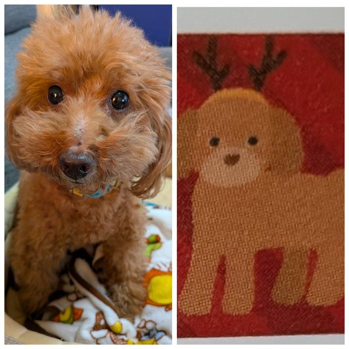 81ad6235 e825 4531 b11f 5d5ca77215a2 1764401419732