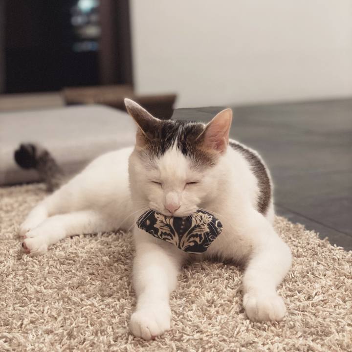 81ad92fa 2645 48d6 93c3 f55c4a019fe4 1622818673289