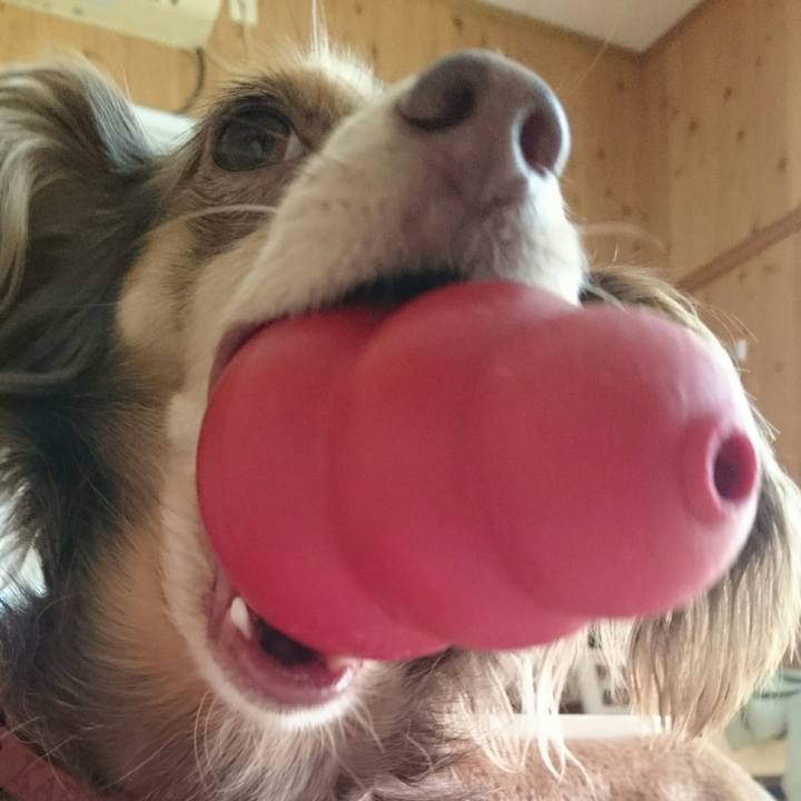 81adb133 09f9 478c bbb0 7b37cf4f7daf 1517031224236