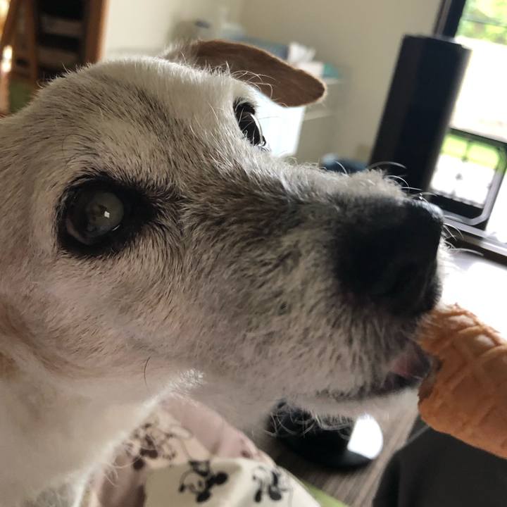 81adb7e4 a84c 4656 9a7b a1c3fd067fa0 1593681914018