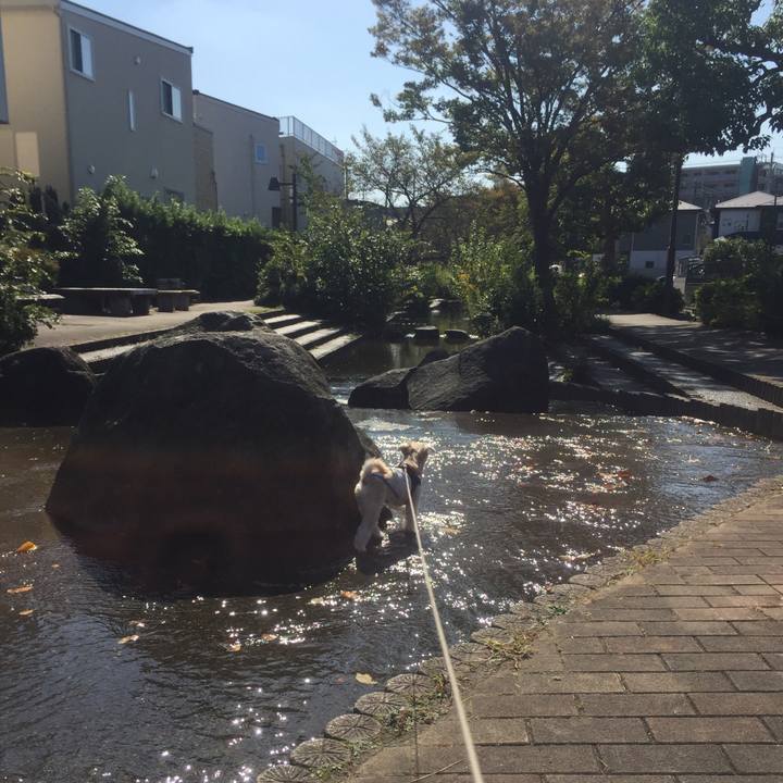 81adbfd1 aa5c 4870 b77f f87d63dd1522 1540206209486