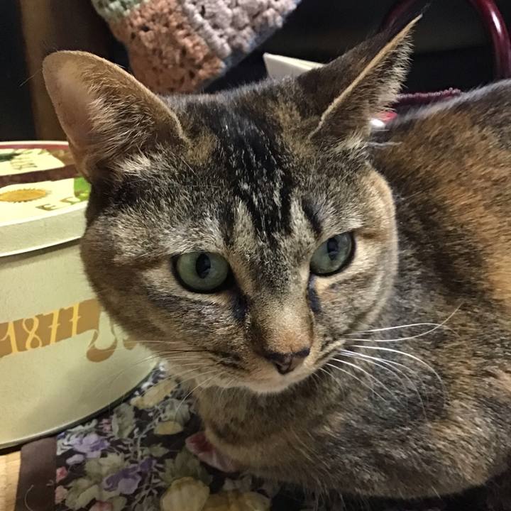 81add235 dcb2 4523 989c 06e658985e7e 1648890799491