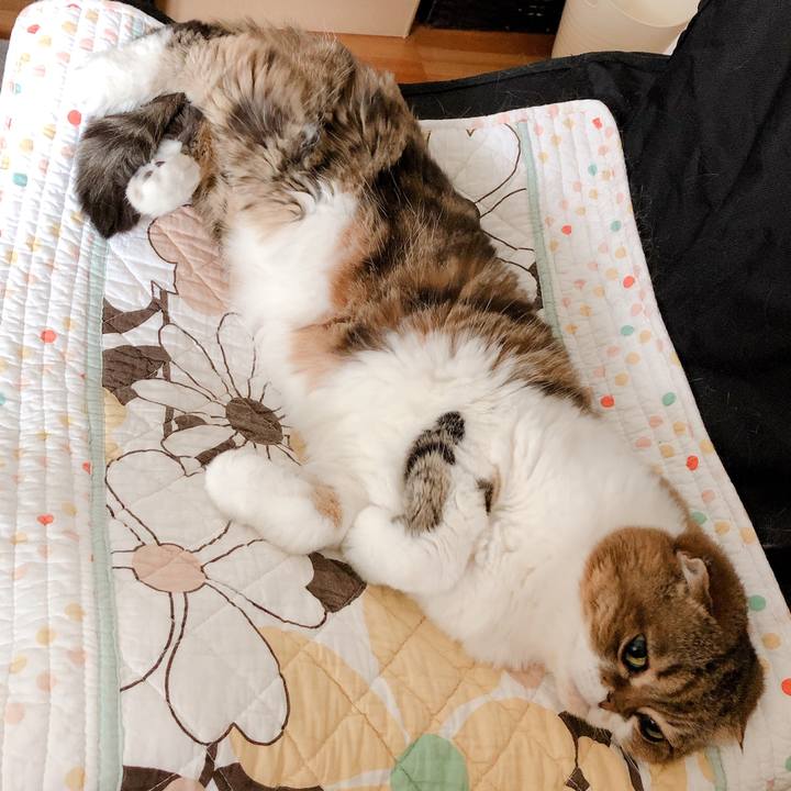 81addffc 84d1 4d7e b2b3 18b5598a796a 1559555400277