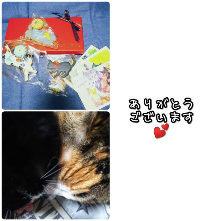 81adf532 6dae 4668 bcee 83c6cc3108bd 1573729385492