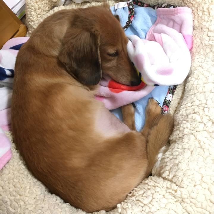 81ae1672 534a 408a 84b1 faac26a221fc 1577621328064