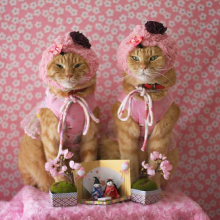 81ae3d41 0620 4464 b0f7 1d0d59270225 1520090736659