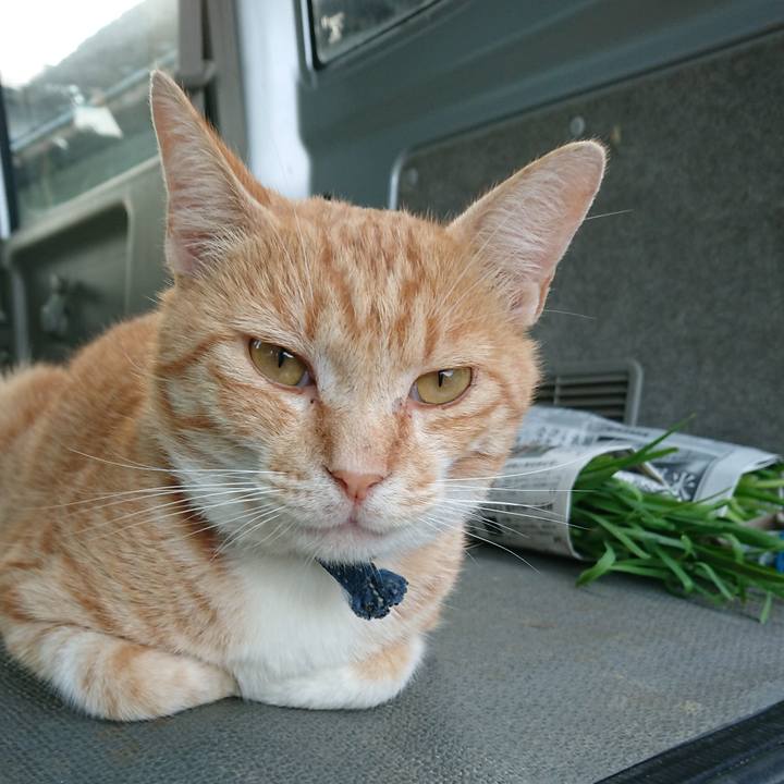 81ae3d7a 5bbd 4dec 8813 2e1d06a40917 1562751321206