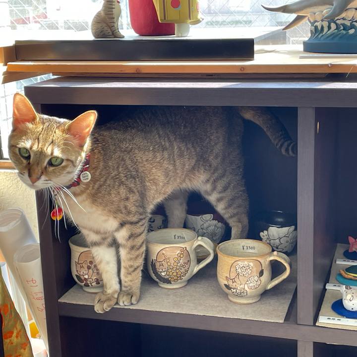 81ae6de8 1e3c 4197 b97d fd71c549e433 1679815504129