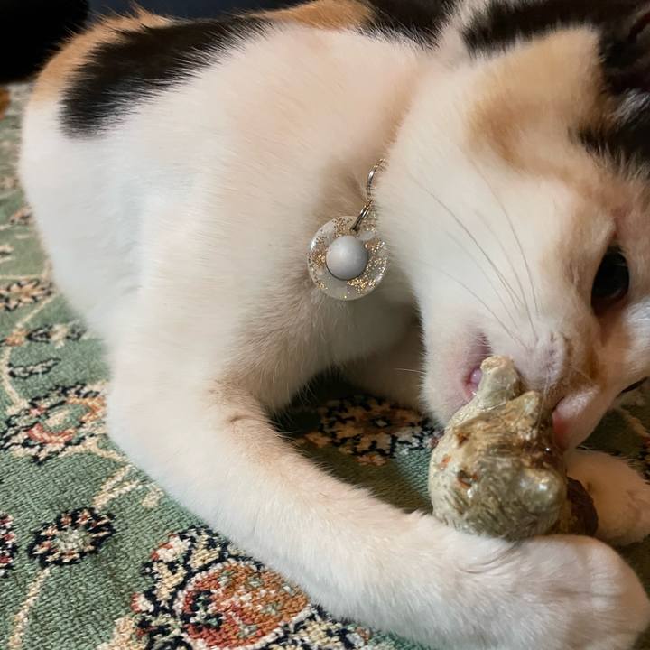 81ae7b22 8ba2 457c a350 b3a83c9087a9 1676471996418