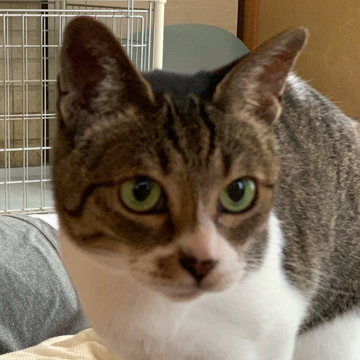 81ae9645 ee1c 420e 99d3 cbaa53614d09 1559609310559