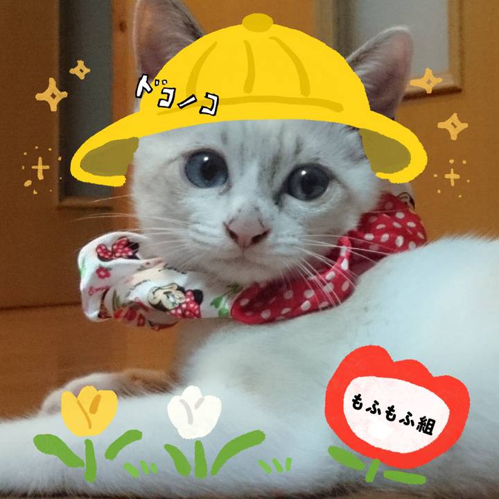 81ae9dfc 88d1 41dc b0d1 a0a865399cec 1712222582963