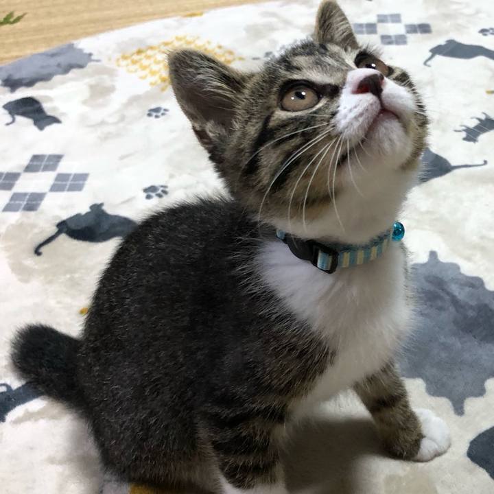 81aee63a 294e 440e afe1 b59a17e3eac7 1773449679457