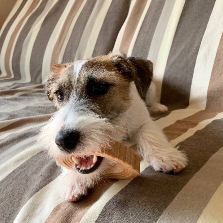 81af12f1 fa11 42e7 be87 b51d9ba4bcad 1572234093138