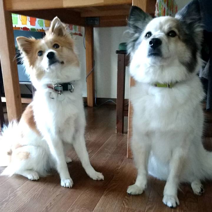 81af46f8 a5ad 4c2f 9f80 38d61e2e9193 1521377202568