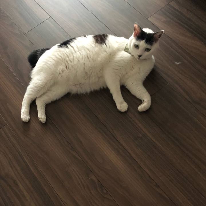 81af5e33 73c7 4430 a9bc 332d3a034b9b 1559864304001