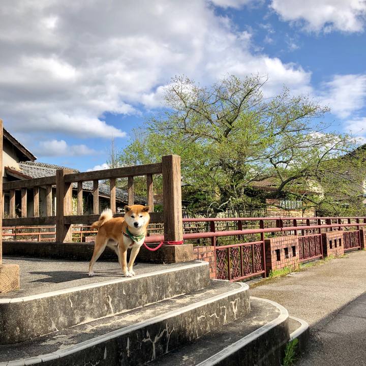 81afce47 387f 4522 9249 ddc2ce3f1359 1556264767695